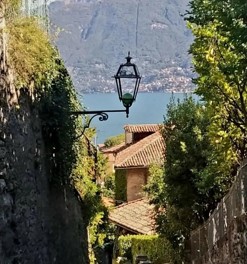 Appartamento La Terrazza Di Dora Menaggio
